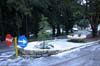 neige-20080131-111