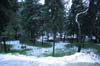neige-20080131-113