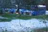 neige-20080131-114