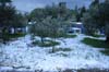 neige-20080131-115