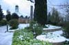 neige-20080131-119