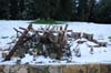 neige-20080131-129