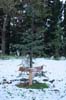 neige-20080131-131